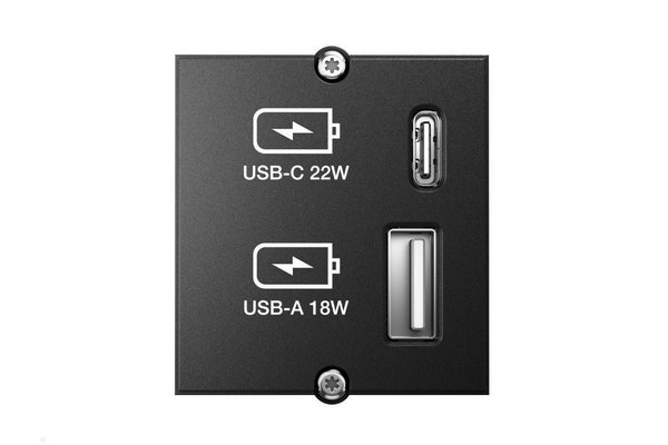 BACHMANN Plastron chargeur 2 ports USB A et C